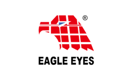 EAGLE EYES