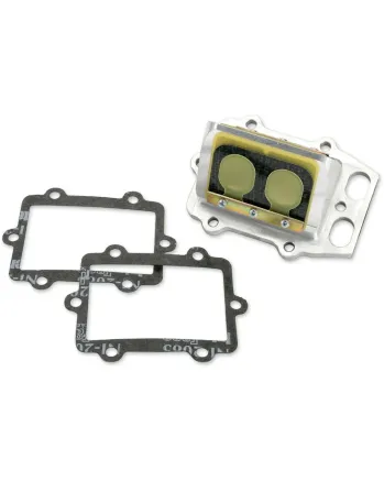 Карбонови клапани RAD BOYESEN RAD-02F