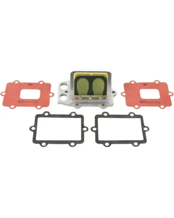 Карбонови клапани RAD BOYESEN RAD-02G