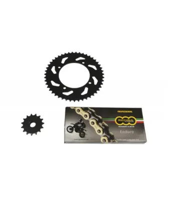 Комплект верига и пиньони REGINA KAWASAKI ZX10-R 06-07