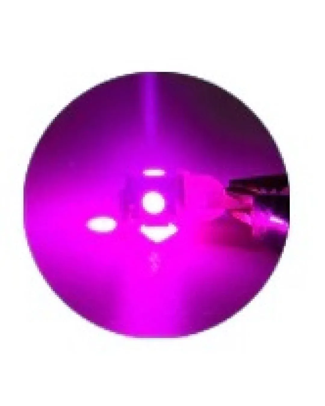 LED Лед Диодни Крушки За Габарит, Т10 W5W, 5 SMD, 12V, Лилава