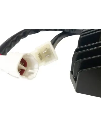 Rec/reg HT SHOT LITH comp RICK'S MOTORSPORT ELECTRICS 14-203H