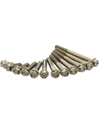 Титаниеви болтове SCAR M6X15мм - 2 броя