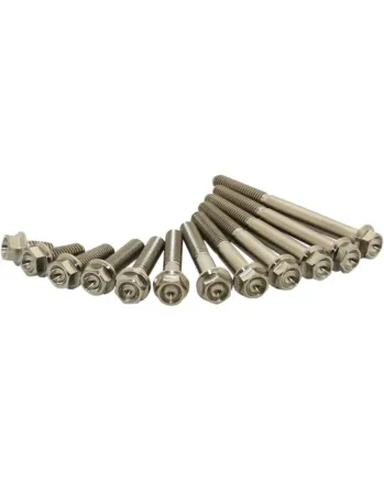 Титаниеви болтове SCAR M6X25мм - 2 броя